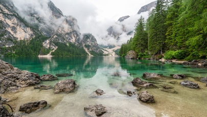 Concerti del progetto COMPOSING NATURE 2025
