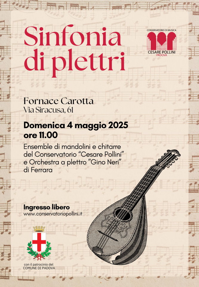 Sinfonia di plettri